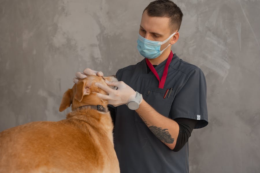 Vetcare
